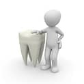 tooth 