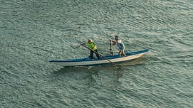 paddle 